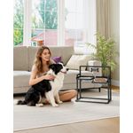 Erhöhter Hundenapf, 6-Fach Höhenverstellbar, 2 x 2 L Edelstahlnäpfe (Winkel Separat Verstellbar), Geeignet für Kleine, Mittlere und Große Katzen und Hunde, Schwarz