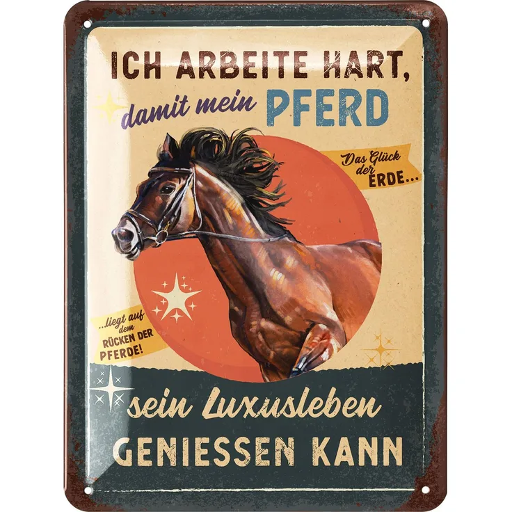 LANOLU Blechschild Pferd Luxusleben - 15x20cm – Metall – Mehrfarbig – 15217