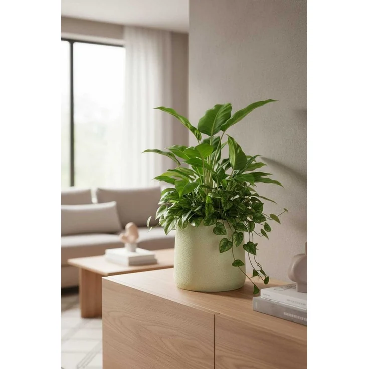 VIVANNO Blumentopf Fiberglas VEKRA Rund - Vesuvbeige Matt (1 St), 42x40 cm – Bild 4