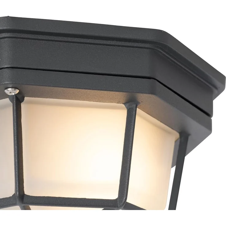 Qazqa Außen-Deckenleuchte Bri, ohne Leuchtmittel, E27, Dunkelgrau, Landhaus, Aluminium, 1-flammig – Bild 3