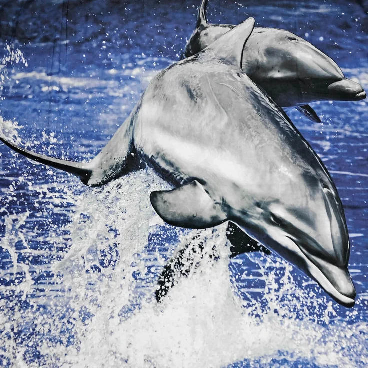 ESPiCO Sleep and Dream Bettwäsche Delphin 3D Digitaldruck blau Baumwolle 135 x 200 + 80 x 80 cm – Bild 4