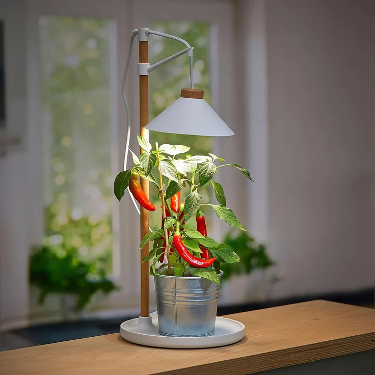 Northpoint Pflanzenlampe LED Pflanzenleuchte Kräutergarten aus Echtholz 9W 550 Lumen Timer – Bild 3