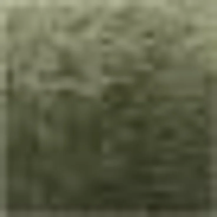 Kleine Wolke Duschtuch Royal, Größe 70/140 cm, Frottier (1-St), Uni Farben, mit Bordüre, weich, auch als Set erhältlich – Bild 2