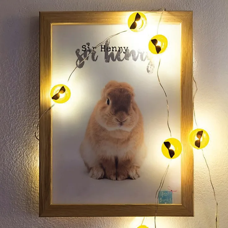 hellum LED Kupfer-Lichterkette, Cool-Emoji mit 2 cm Durchmesser, 10 warmweiße LEDs, 90 cm Lichtlänge, Kabel silber, Indoor, batteriebetrieben (2AA), 522952