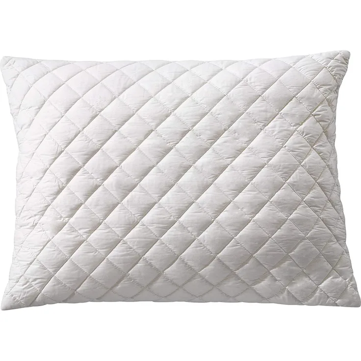 Billerbeck Kissen Organic 381 Cosidream nature 40x80