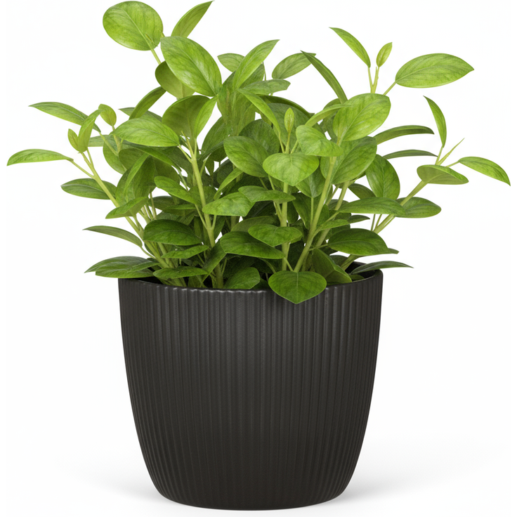 Scheurich 'Aura' Blumentopf, Keramik anthrazit, Ø 23x21 cm, 11,5 Liter – Bild 2