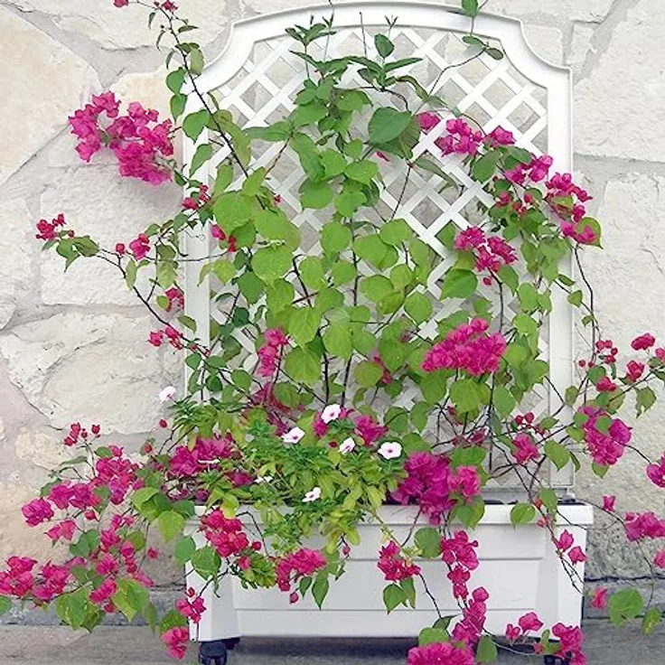 NYVI Blumenkasten Pflanzkasten NYVIGreen 79x35x134 cm 42L Bewässerungssystem & Spalier (1 St), Pflanzkübel aus wetterfestem & recyceltem Kunststoff, Steckmontage