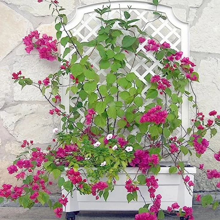 NYVI Blumenkasten Pflanzkasten NYVIGreen 79x35x134 cm 42L Bewässerungssystem & Spalier (1 St), Pflanzkübel aus wetterfestem & recyceltem Kunststoff, Steckmontage – Bild 1