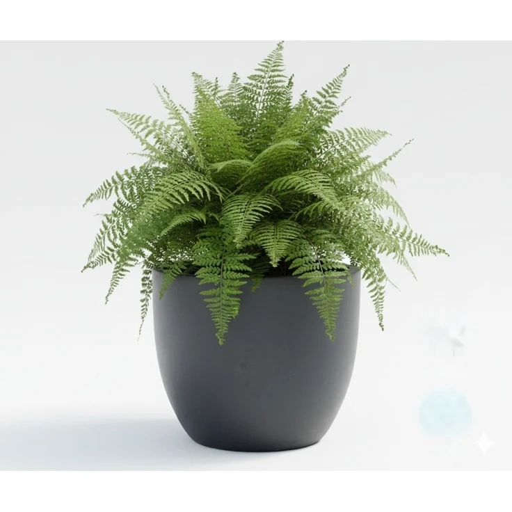 Keramik Blumentopf Eggpot Anthrazit Ø 21cm - Frostfest Pflanzkübel Grau Rund – Bild 7