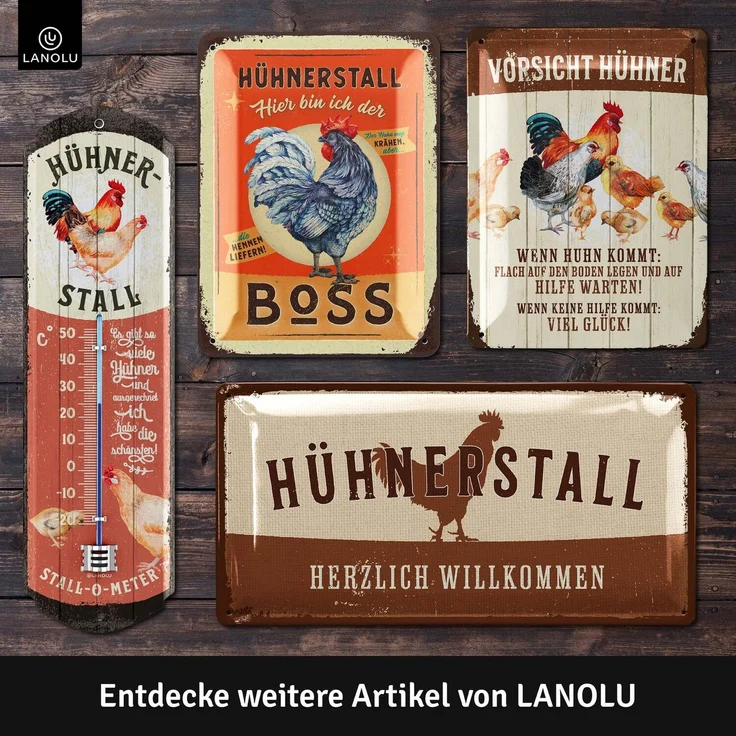 LANOLU Blechschild Hühnerstall Regeln Lustig - 20x30cm – Metall – Mehrfarbig – 20321 – Bild 6