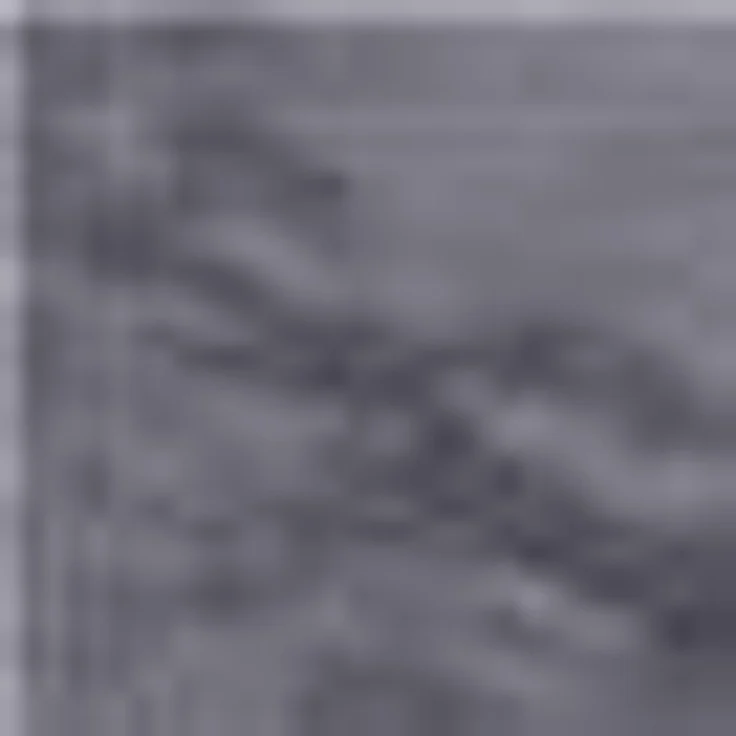 SCHÖNER WOHNEN-Kollektion Fellteppich Tender, rechteckig, Höhe: 26 mm, besonders weich durch Microfaser, Kunstfell, waschbar, Wohnzimmer – Bild 3