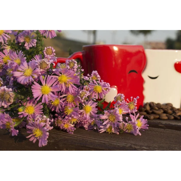 MiaMio Kaffeeservice Küssende Tassen Geschenk Set, Kaffeetassen«, Keramik (2-tlg) – Bild 2