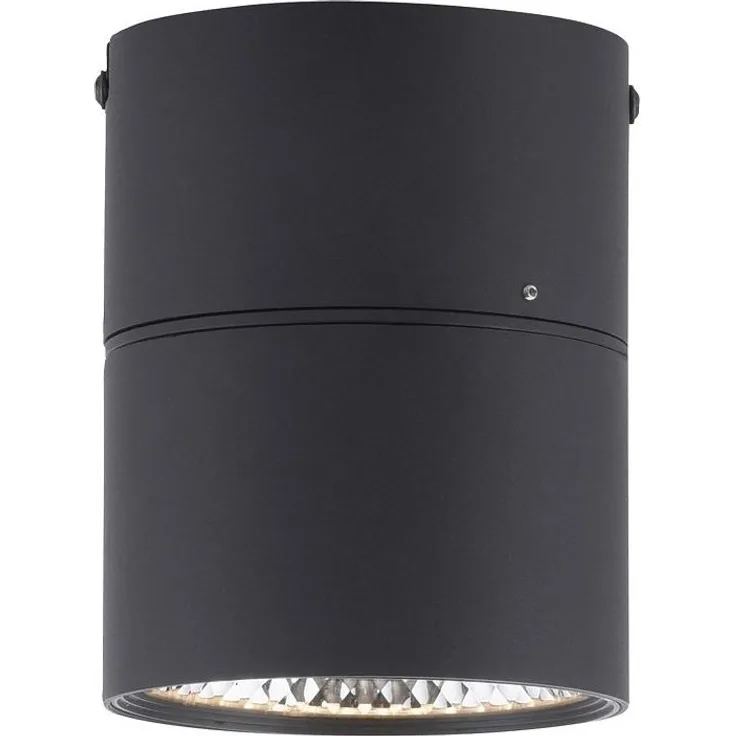 Paul Neuhaus 6451-18 PURE-NOLA LED Deckenstrahler 1-flammig schwarz