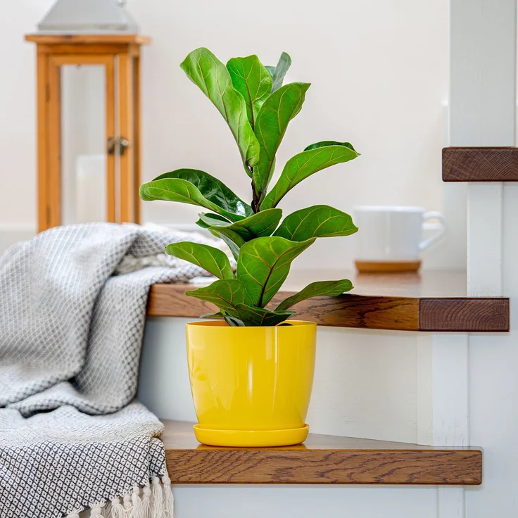 KADAX Blumentopf mit Ständer, Kunststoffabdeckung, Blumentopf 12 cm, Gelb, für Blumen – Bild 7