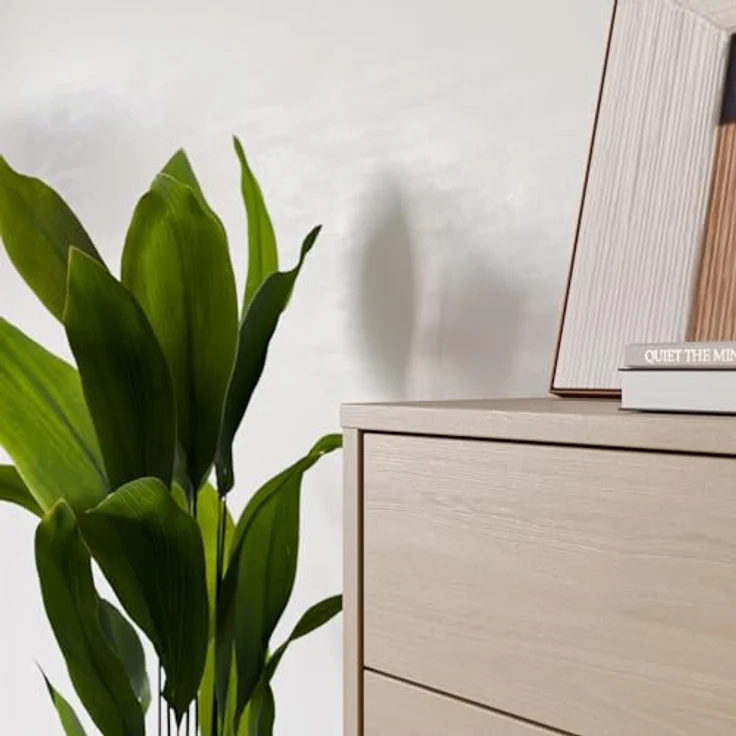 Forte Alice Springs Kommode 70 80, modern-minimalistisch, 4 Schubladen, Wohn-/Schlafzimmer, Holzwerkstoff, Elegancia Eiche Holzdekor, 74,5 cm breit x 99,1 cm hoch x 34,9 cm tief – Bild 5
