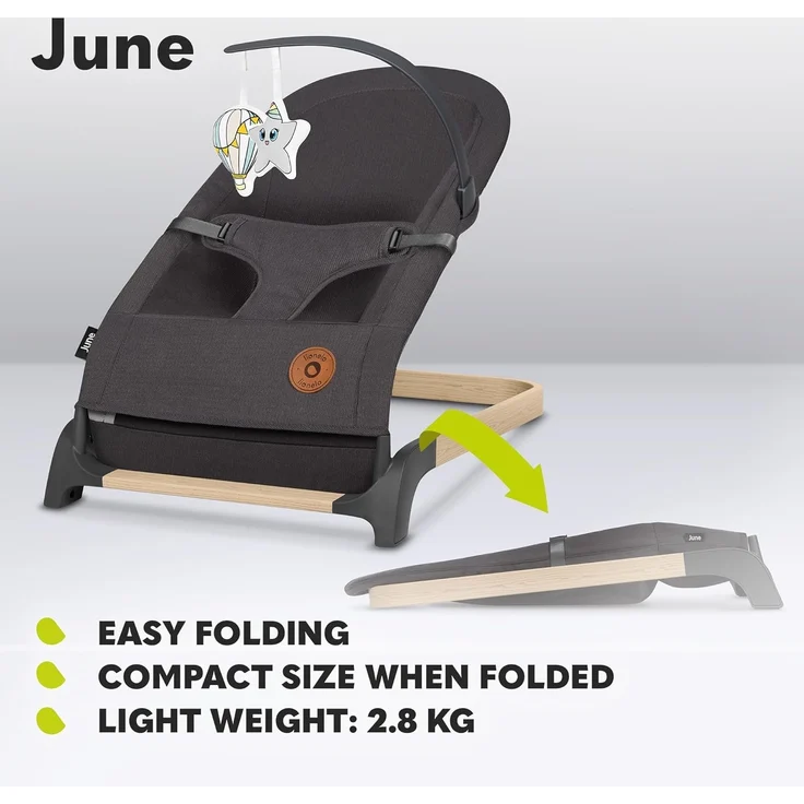 Lionelo June Babywippe für Neugeborene bis 9 kg, bequemer Stuhl mit natürlicher beruhigender Bewegung, ergonomische Rückenstütze, 3-Punkt-Sicherheitsgurt, weiches atmungsaktives Gewebe, leicht & – Bild 5
