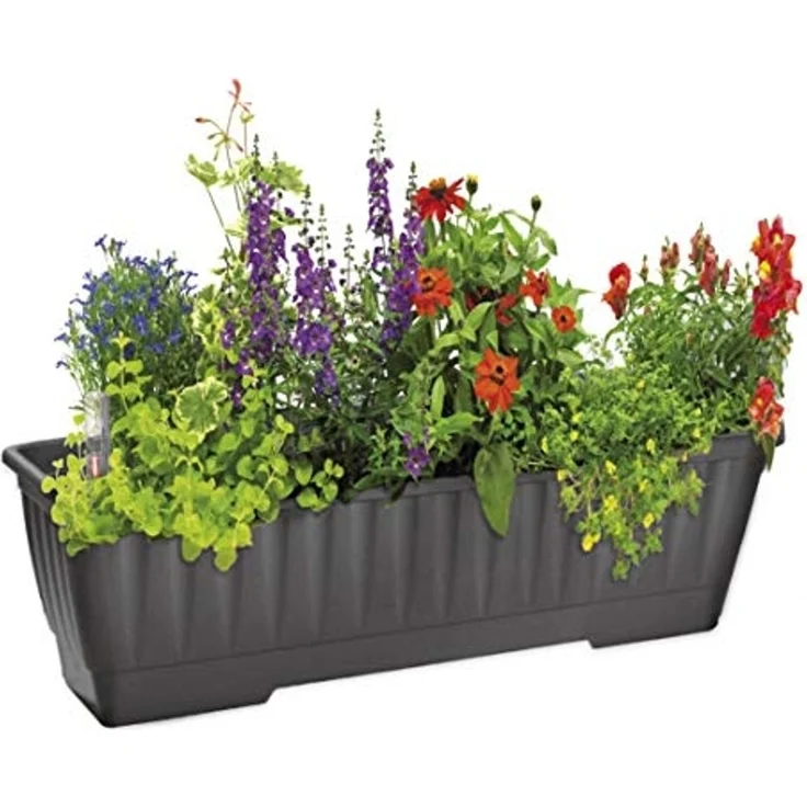 alpfa 852539 Pflanzkasten mit Bewässerung - 60 cm - Farbe: ANTHRAZIT – Bild 3