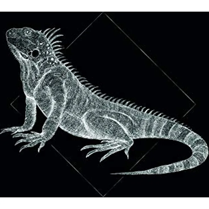 Komar Wandbild Iguana Black, Poster auf Premium-Photopapier, seidenmatt, 30 x 40 cm, ohne Rahmen, Wasserfest und lichtbeständig, Made in Germany
