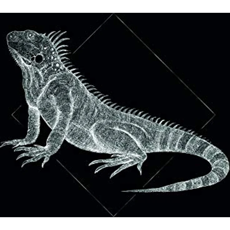 Komar Wandbild Iguana Black, Poster auf Premium-Photopapier, seidenmatt, 30 x 40 cm, ohne Rahmen, Wasserfest und lichtbeständig, Made in Germany – Bild 1