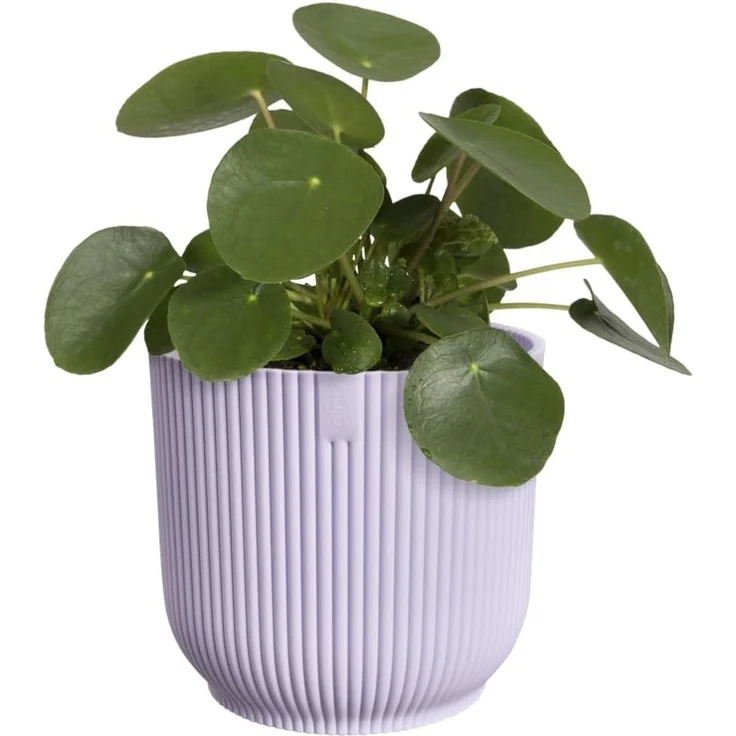 elho Vibes Fold Rund 14 Pflanzentopf - Blumentopf für Innen - 100% recyceltes Plastik - Ø 14.1 x H 12.9 cm - Lila/Zartes Lila – Bild 8