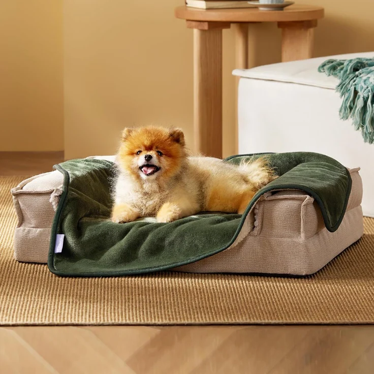 Lesure wasserdichte Hundedecke kleine Hunde - 80x60 cm Outdoor Hundedecke waschbar, Hundedecke Sofaschutz aus Sherpa Fleece, Katzendecke flauschig und weich, Olivgrün – Bild 5
