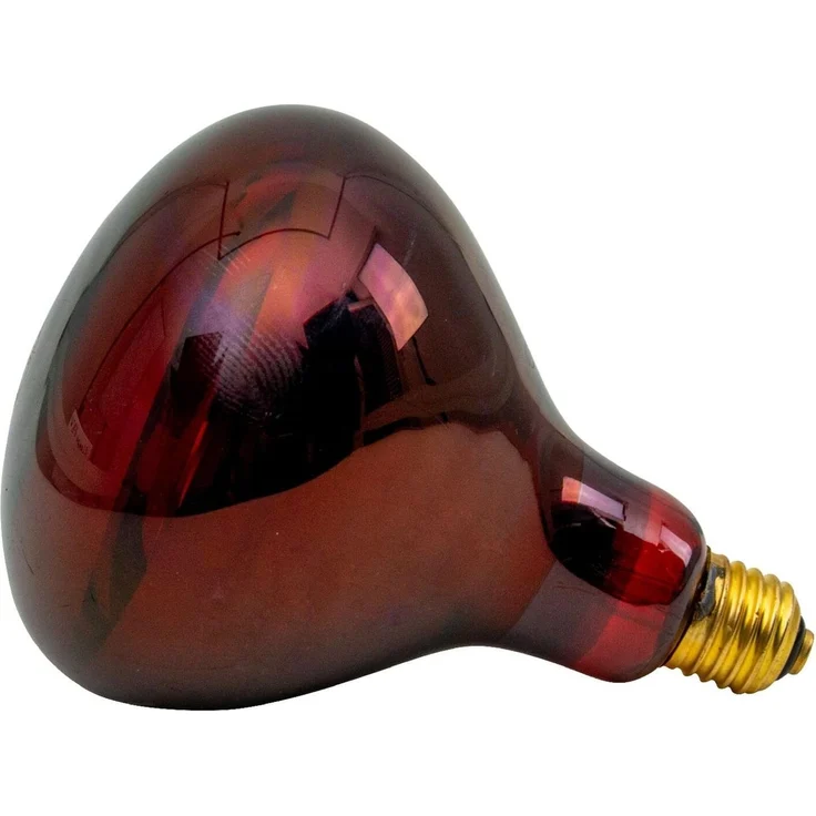 Infrarot-Sparlampe | 175 Watt | rot – Bild 4