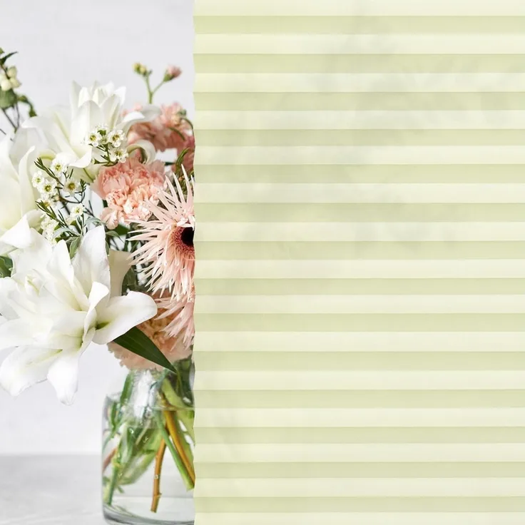 jalousiescout Plissee Pure Plissee Premium, 35x110 cm, creme, halbtransparent, ohne Bohren, verspannt, Klemmfix, Polyester-Stoff, blickdicht und lichtdurchlässig