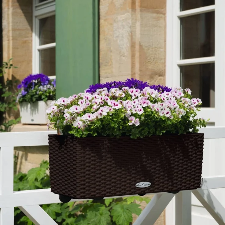LECHUZA Pflanzgefäß BALCONERA Cottage 50 ALL-IN-ONE Mokka 443322 – Bild 1