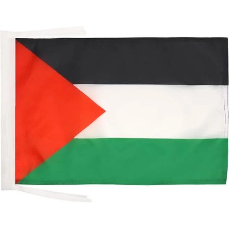AZ FLAG - Flagge Palästina - 45x30 cm Mit Kordel - Palästinensische Fahne 30 x 45 Cm - Flaggen – Bild 1