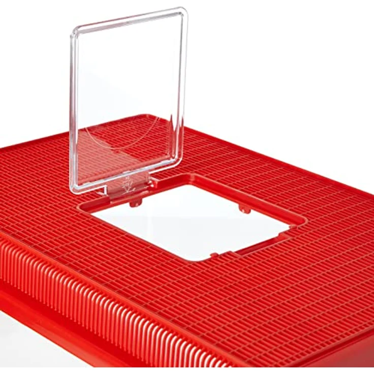 Ferplast Contenitore plastica piccoli animali GEO EXTRA LARGE Vasca acquario 11 L per pesci Terrario tartarughe insetti, Robusta plastica, Fessure di ventilazione, 35,6 x 23,4 x h 22,8 cm Rosso – Bild 2