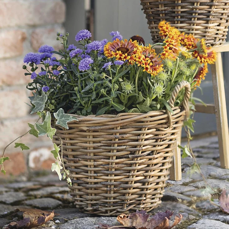 Pflanzkorb Spaltrattan Box Aufbewahrungskorb Schale Korb Flechtkorb Ø 35 cm – Bild 4