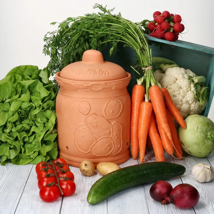 Terra Kartoffeltopf mit Deckel Ø 19,3cm aus Terrakotta Aufbewahrungsbox Ton – Bild 3