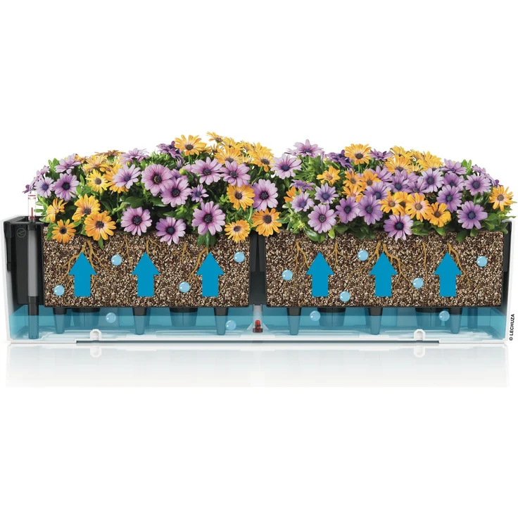 LECHUZA-Pflanzgefäß BALCONERA Color 80 Schiefergrau | Balkonkasten mit Bewässerungssystem, Wasserstandsanzeiger und 2 Pflanzeinsätzen | matte Oberfläche | 79 x 19 x 19 cm | 15683 – Bild 9