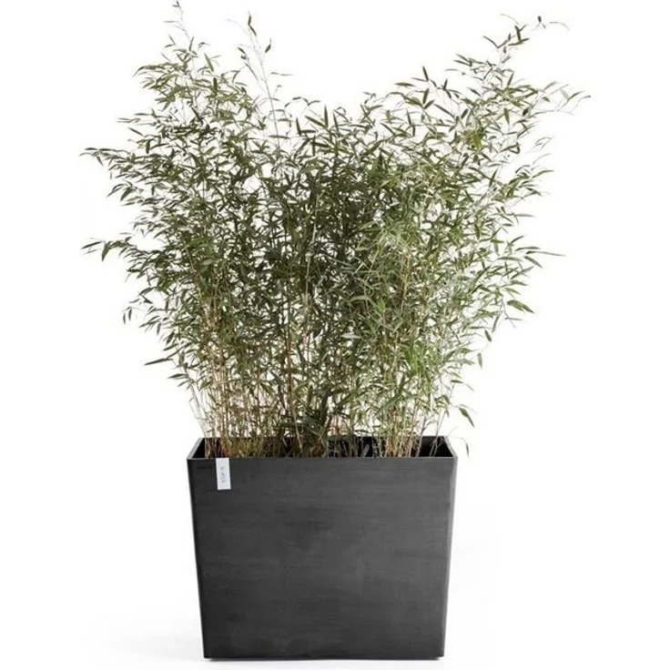 ECOPOTS Blumentopf Paris, BxTxH: 85 x 40 x 65 cm – Bild 3