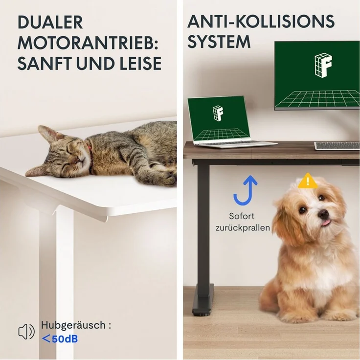 FLEXISPOT Schreibtisch Sitz-Steh-Tisch mit Memory-Funktionen (110X54/140X70/ 160X70/ 180X80/ 200X80 CM), Dual-Motor, 4 Speicherplätze, Anti-Kollisionssystem – Bild 3