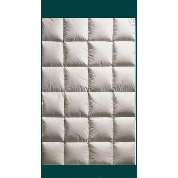 Leichte Ganzjahresdecke Daunenbett Daunendecke 135x200 980 g can. Daunen
