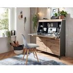 Sekretär >Secret< (BxHxT: 98x124x42 cm) in graphit / Artisan Eiche aus MDF