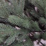 HXT 1418 Spritzgussbaum 120 cm