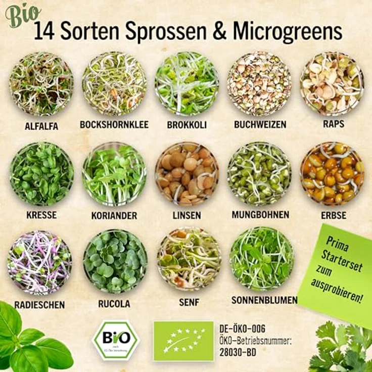 Sprossen Samen Microgreens Starter Set BIO - 14 Sorten BIO Sprossen zum selber züchten Microgreens Samen und Keimsprossen Keimsaat - Probierset für Sprossenglas & Kressesieb (inkl. Ebook) – Bild 4