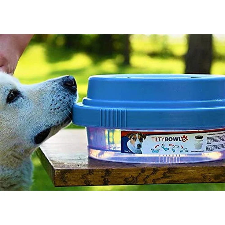 TILTYBowl Hundenapf TILTYBowl, XL, taubenblau, Ø 32 cm, H 14 cm, aus Polypropylen – Bild 3