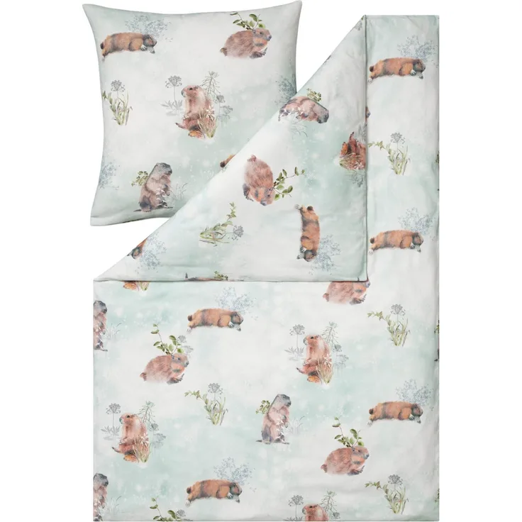 Estella Bettwäsche Hermann 4445 080 Jade Kuschelflanell 155 x 220 + 80 x 80 cm