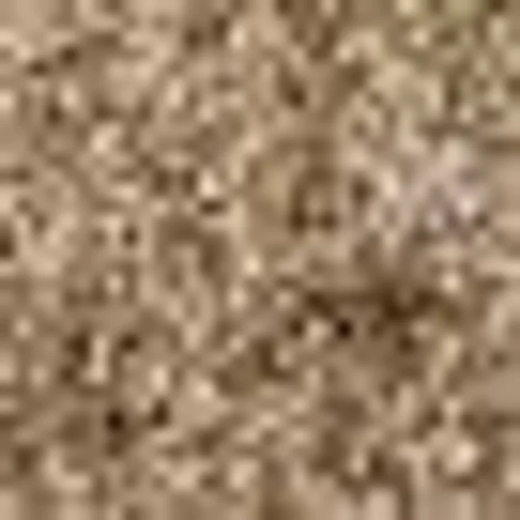 ASTRA Fußmatte Proper Tex 618, rechteckig, Höhe: 9 mm, Schmutzfangmatte, auch als Läufer, waschbar, In -und Outdoor geeignet – Bild 2