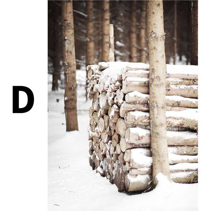 Winter Tannenzapfen Baumstämme Frostblätter Poster · Bilder Wohnzimmer · Wandbilder Schlafzimmer · Deko Print ohne Rahmen - D / 15 x 20 cm