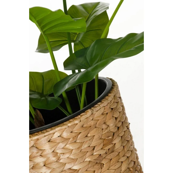 VIVANNO Pflanzkübel Pflanzkübel Blumenkübel Wasserhyazinthe "Classic Round", Natur – Bild 2