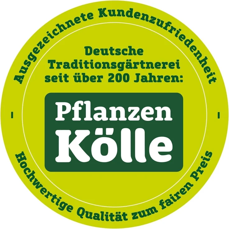 Kinder-Camping-Klappsessel blau – Bild 4