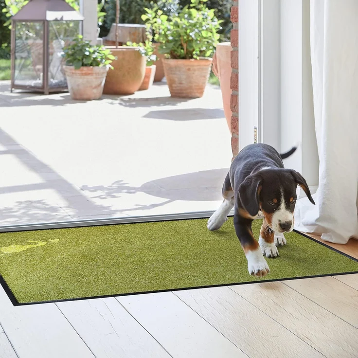 ASTRA Fußmatte Proper Tex 618, rechteckig, Höhe: 9 mm, Schmutzfangmatte, auch als Läufer, waschbar, In -und Outdoor geeignet – Bild 2