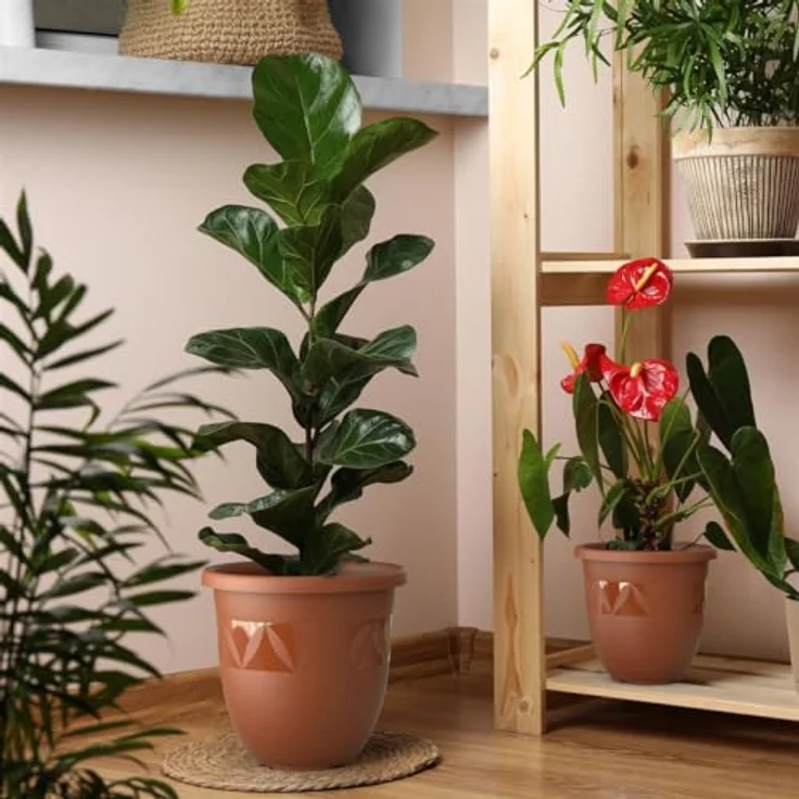 Plastard Pflanzkübel 3er, 5er, 10er Sets, Blumentop, Übertopf, Pflanztopf 15 - 40 cm (5 St), frostbeständig, UV-beständig, witterungsbeständig, langlebig – Bild 6