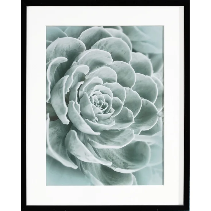 Dekoria Wandbild Succulents I 40x50xcm