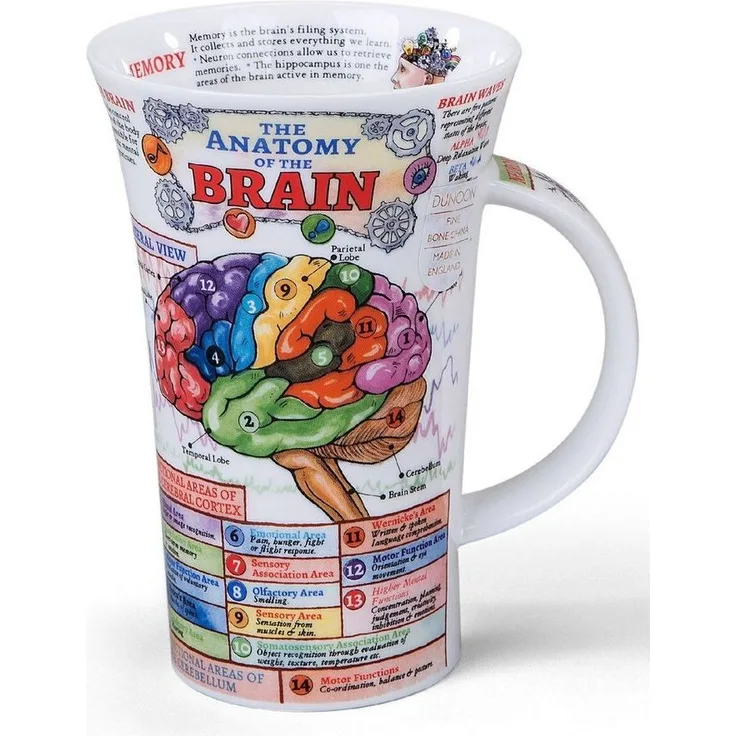 Becher "The Brain", Glencoe