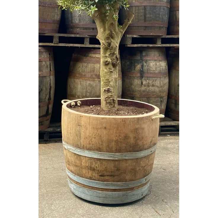 Temesso Pflanzkübel Extra HOHES Weinfass halbiert - Höhe 50-54 cm